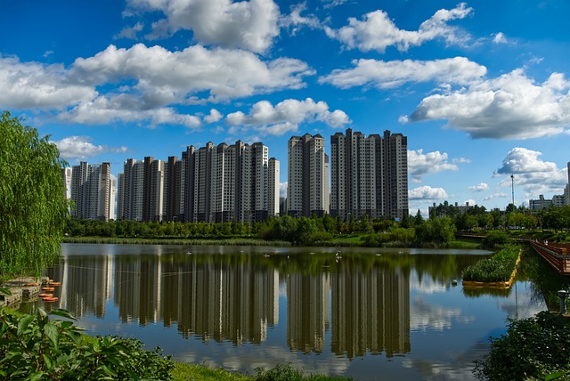 Pest Control for Apartments