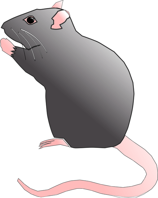 pest-exterminator-640x480-26690194.png