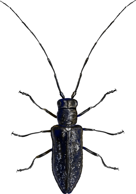 pest exterminator