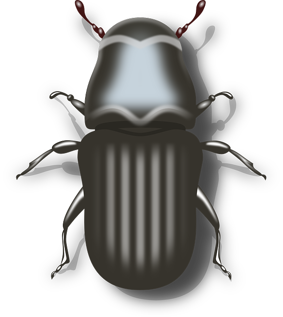 pest exterminator