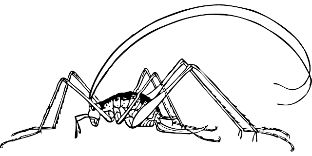 pest-exterminator-640x480-60112789.png