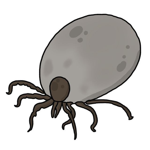 pest exterminator
