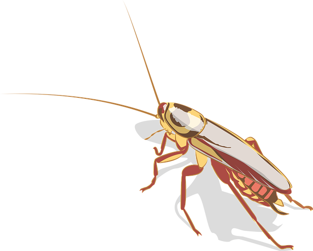 pest exterminator