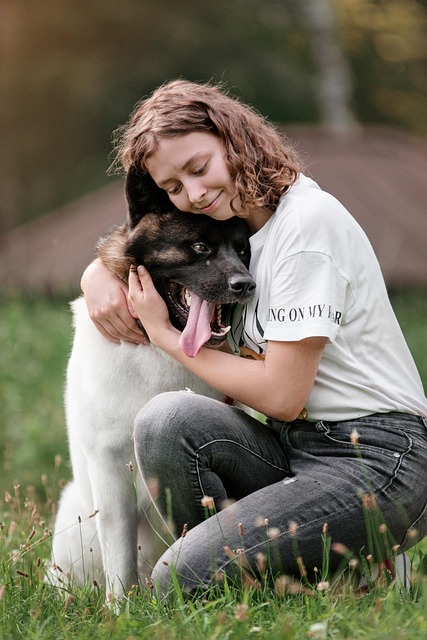 pet-stain-cleaning-640x480-22219004.jpeg