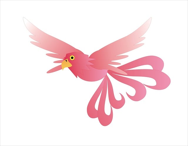 Phoenix fat freezing