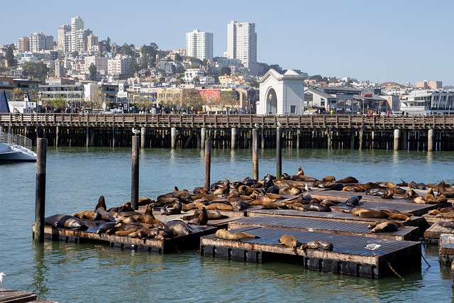 Pier Installation