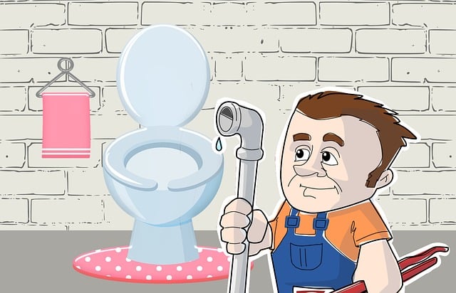 Plumbing Services