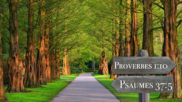 private health quotes