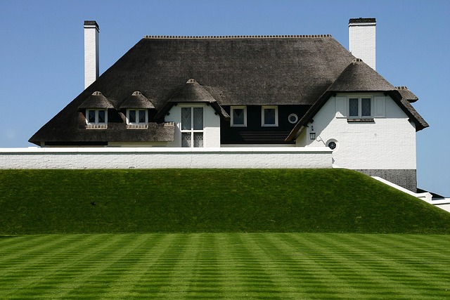 professional roof repair