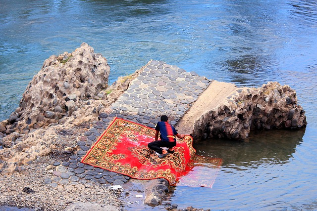 professional-rug-cleaning-640x480-62445944.jpeg