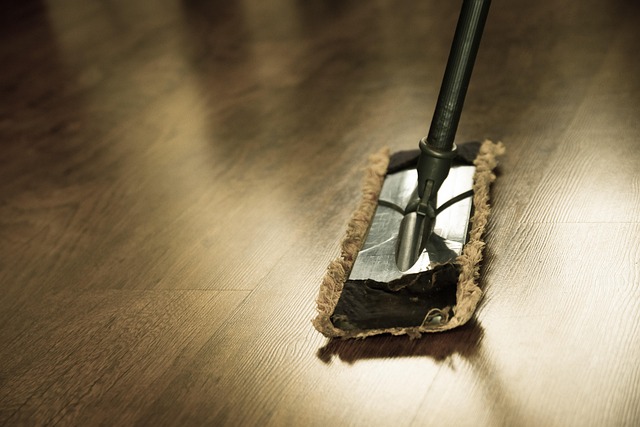 Professional Rug Cleaning