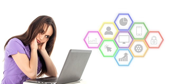 Professional SEO Programs