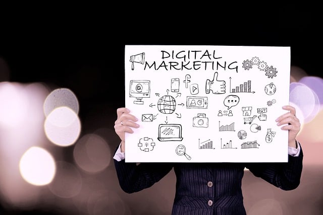 Professional SEO Programs