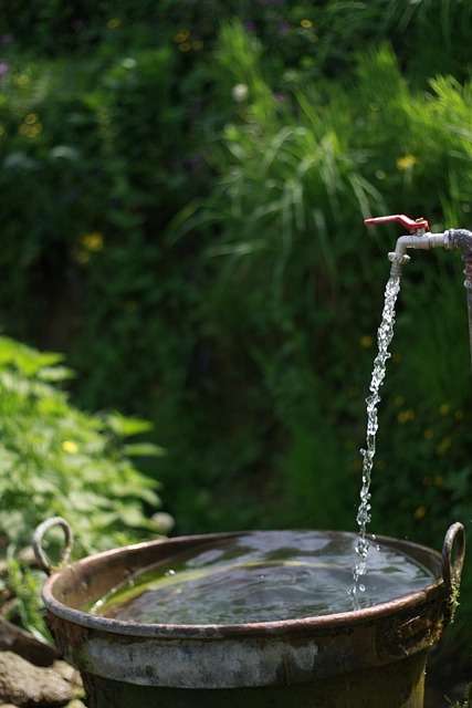 Reliable Plumbing Solutions