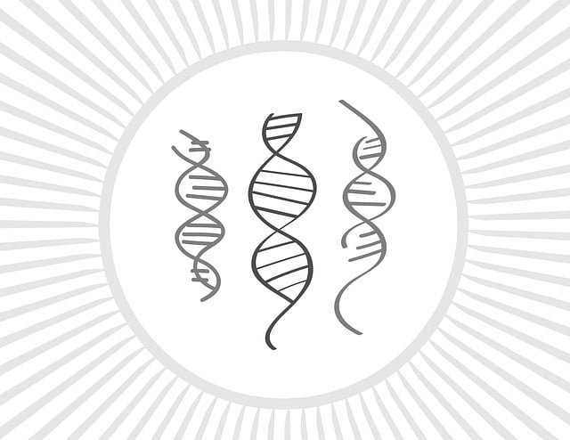 requirements for semaglutide prescription