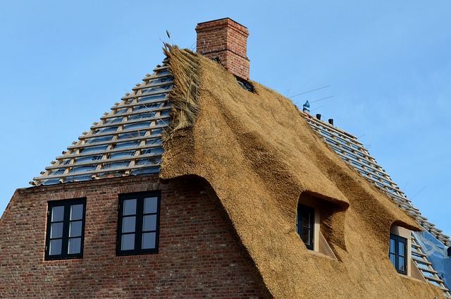 Residential Roofing Contractors