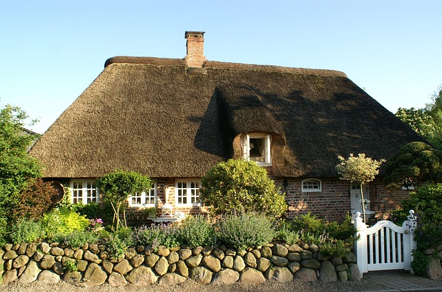 Roof Replacement