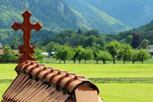 Roof Replacement