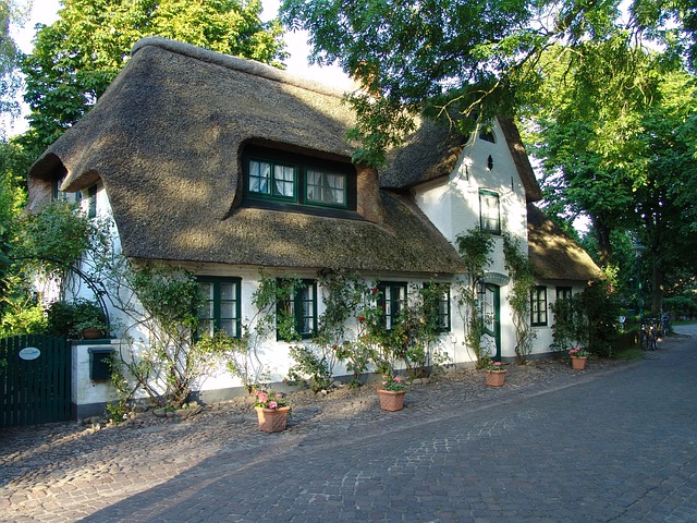 Roof Replacement