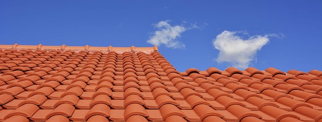 Roof Replacement Services