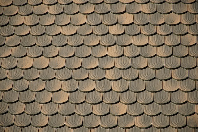Roof Replacement Services