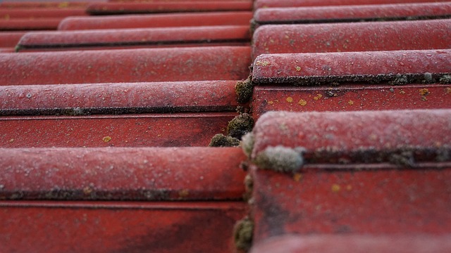 Roofing Company