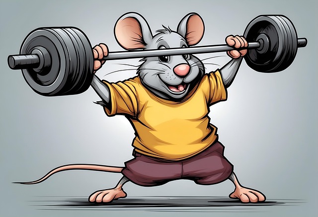 rybelsus-weight-management-640x480-45416878.jpeg