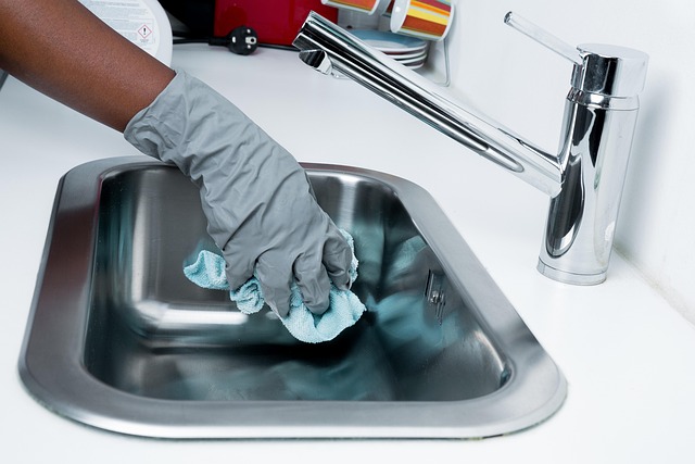 Same-Day Carpet Cleaning Services