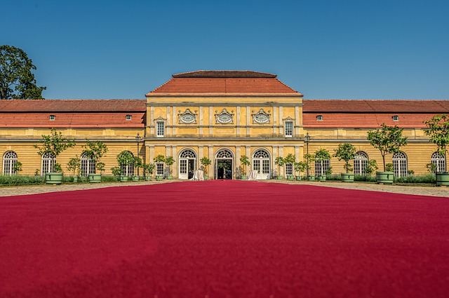 Same-Day Carpet Cleaning Services