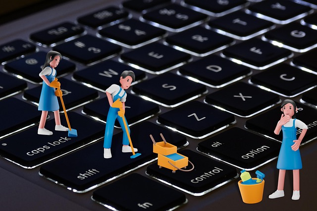 Same-Day Carpet Cleaning Services