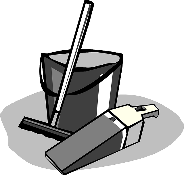 Same-Day Carpet Cleaning Services