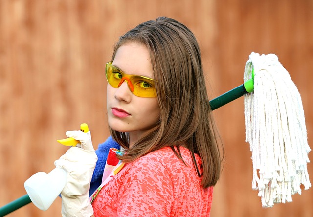 Same-Day Carpet Cleaning Services