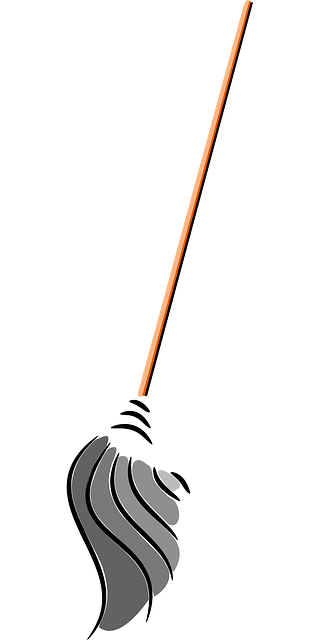 Same-Day Carpet Cleaning Services