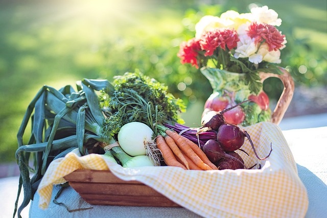 semaglutide diet program