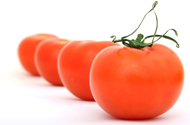 semaglutide diet program