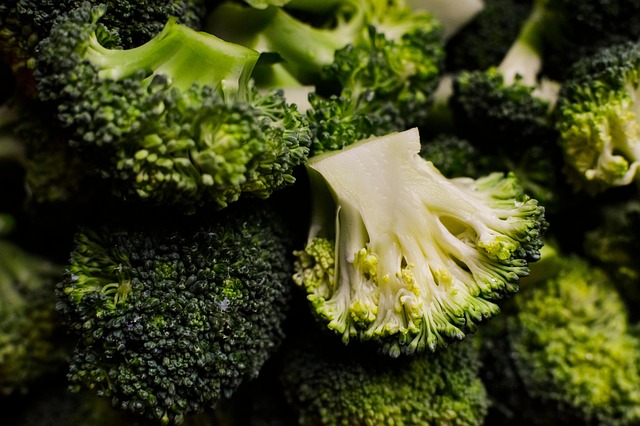 semaglutide diet program