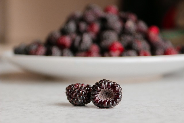 semaglutide diet program