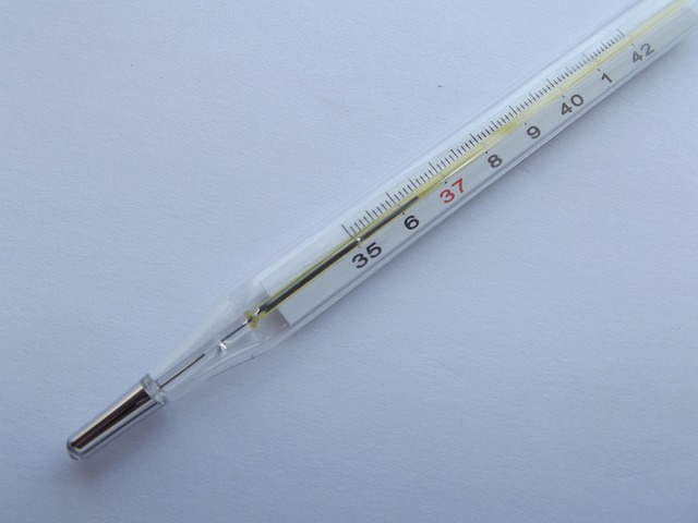 semaglutide-medication-640x480-60756386.jpeg