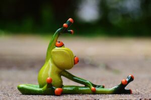 Mastering SEO Performance Tracking: Online Training for Success