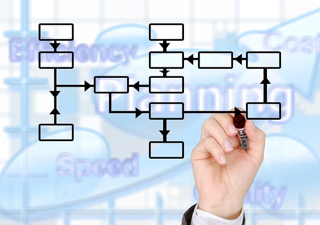 SEO Online Training