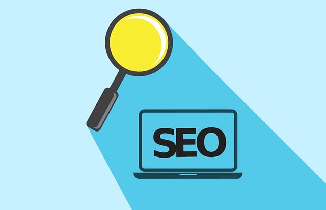 SEO Services for New Websites