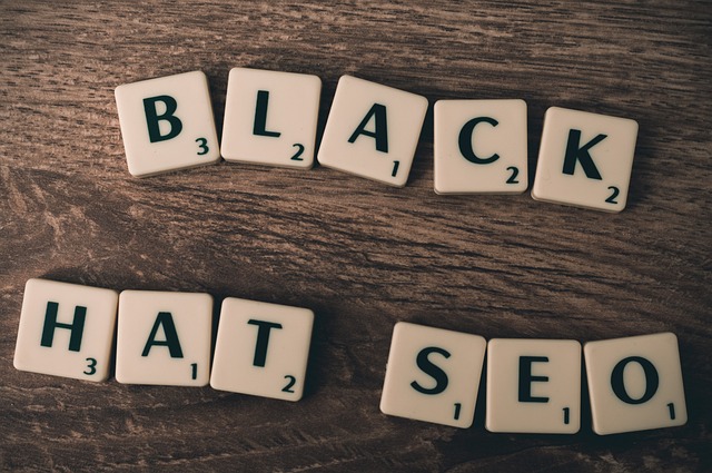 SEO Services for New Websites