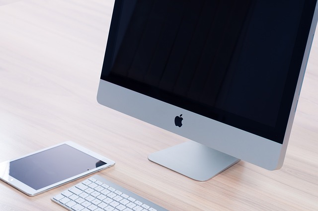 SEO Services for New Websites