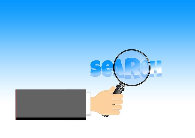 SEO Services for New Websites
