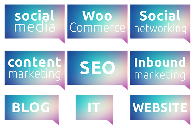 SEO Services for New Websites