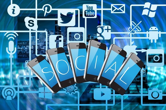 SEO Services for New Websites
