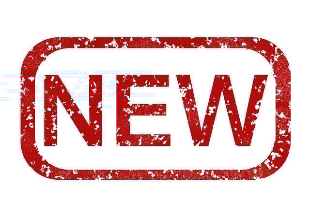 SEO Services for New Websites