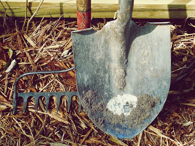 SEO Tools for Tracking