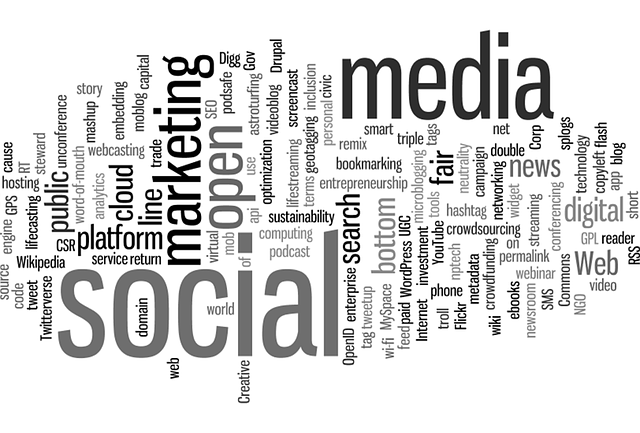 seo-trends-2025-640x480-61453512.png