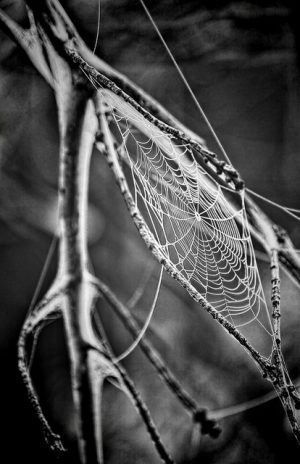 Mastering SEO Web Design: Optimizing Layout for Online Success